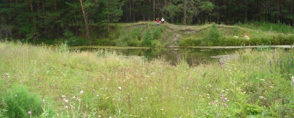 Фотография Покровки