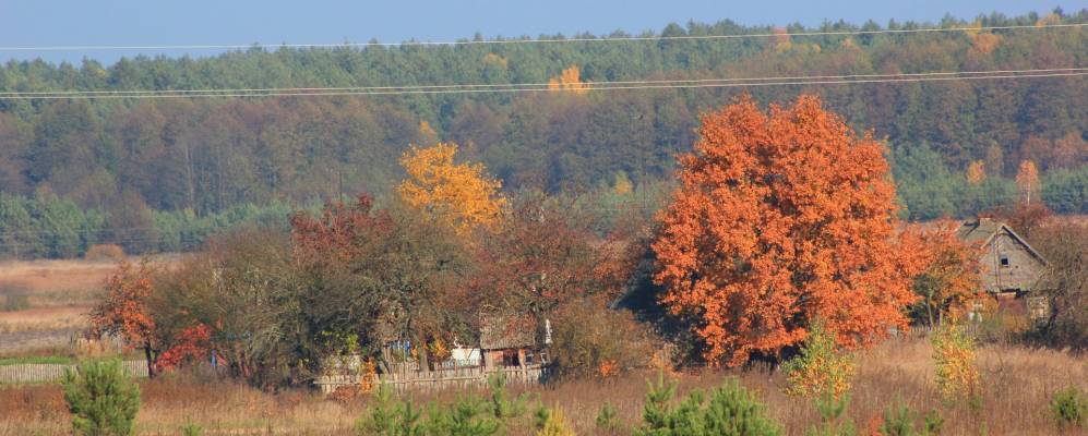 
            Фотография деревни Мартынюки