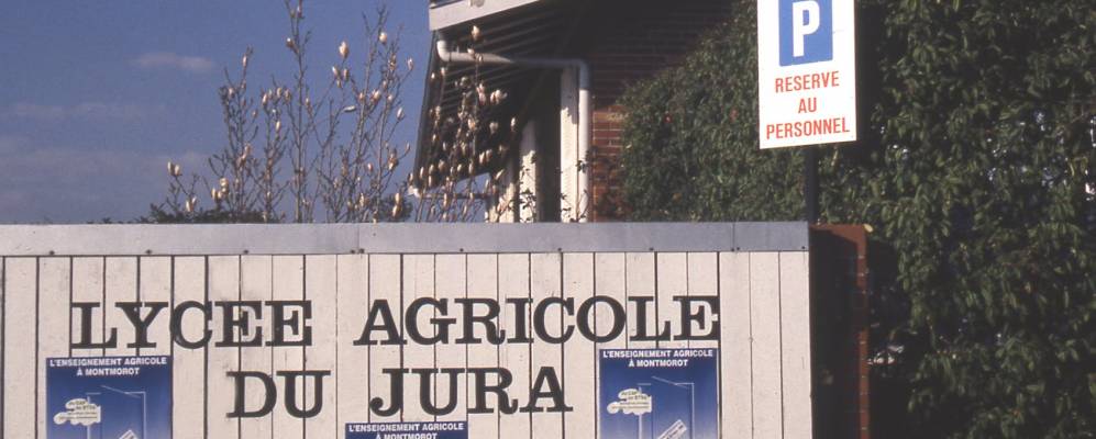 
            Фотография Монморо