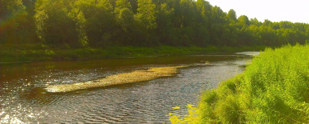 
            Фотография Горки Воскресенской