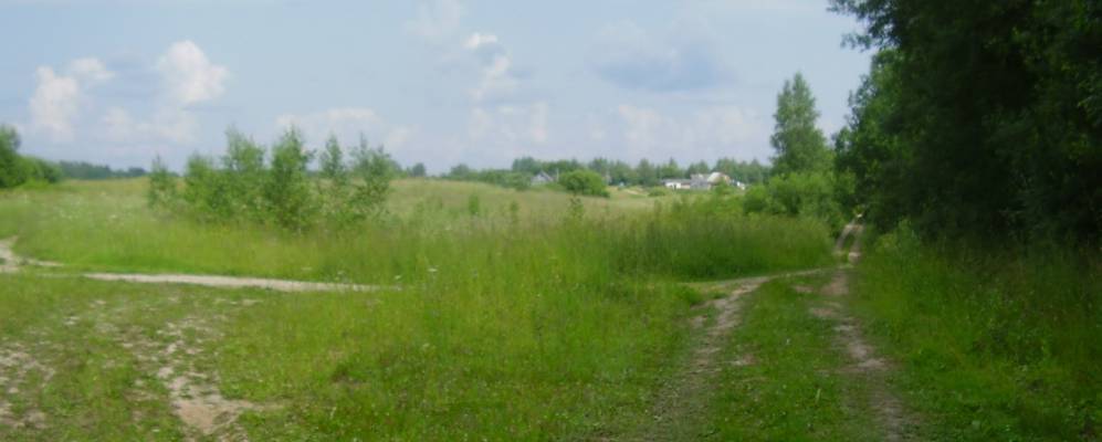 
            Фотография Селища