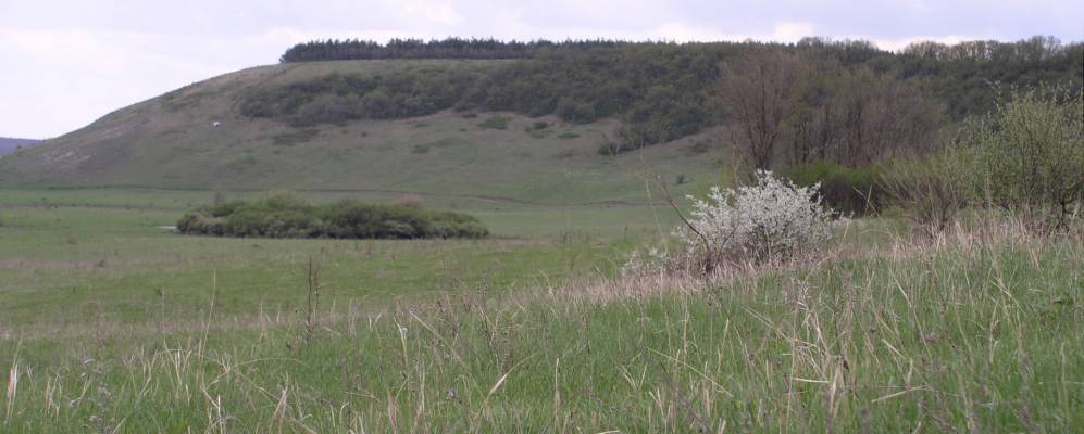 
            Фотография Атюхты