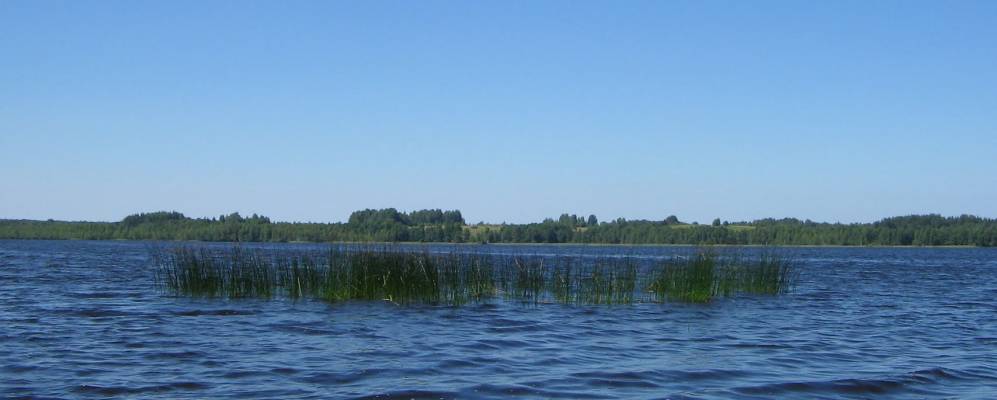 
            Фотография Вяльцево