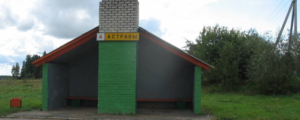 Фотография Дружной