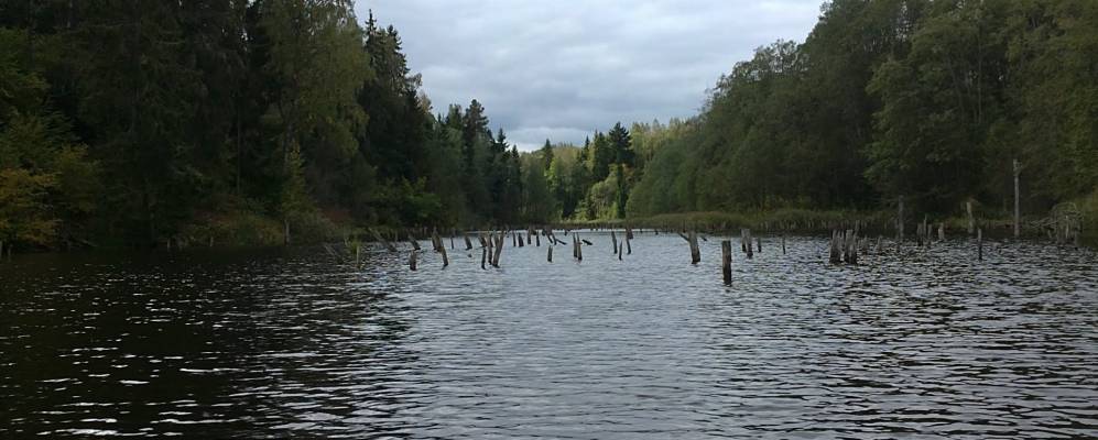 
            Фотография Плещевки