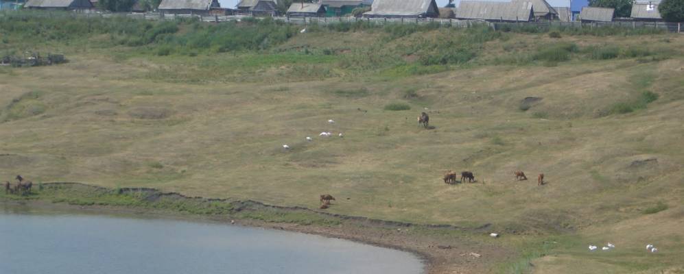 
            Фотография Казанки