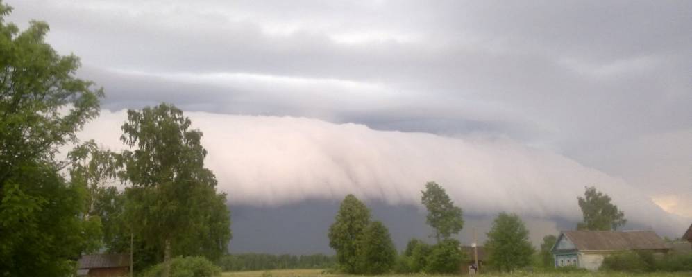 Фотография Сафроново