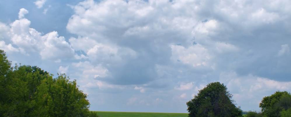 
            Фотография Зубовского