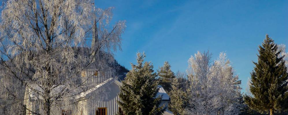 
            Фотография Свене