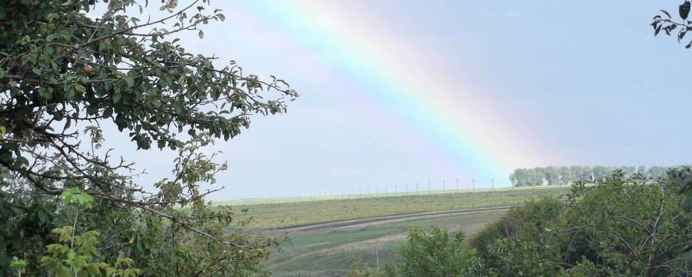 
            Фотография Русской Конопельки