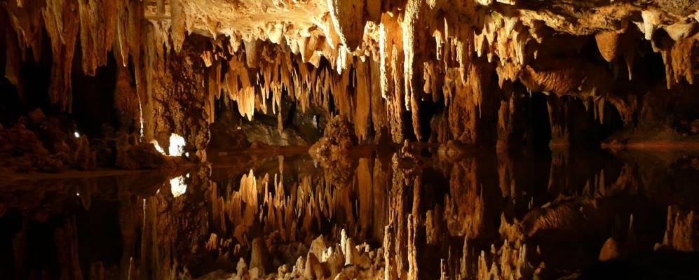 
            Фотография Лерей