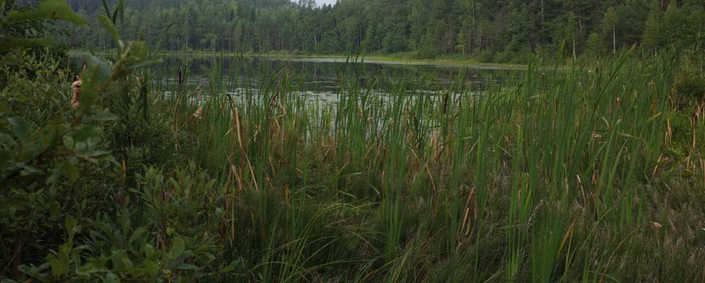 
            Фотография Гарусово