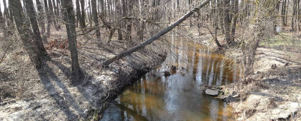 
            Фотография деревни Енцы