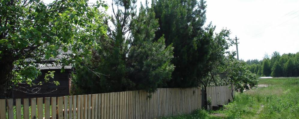 Фотография Голышево