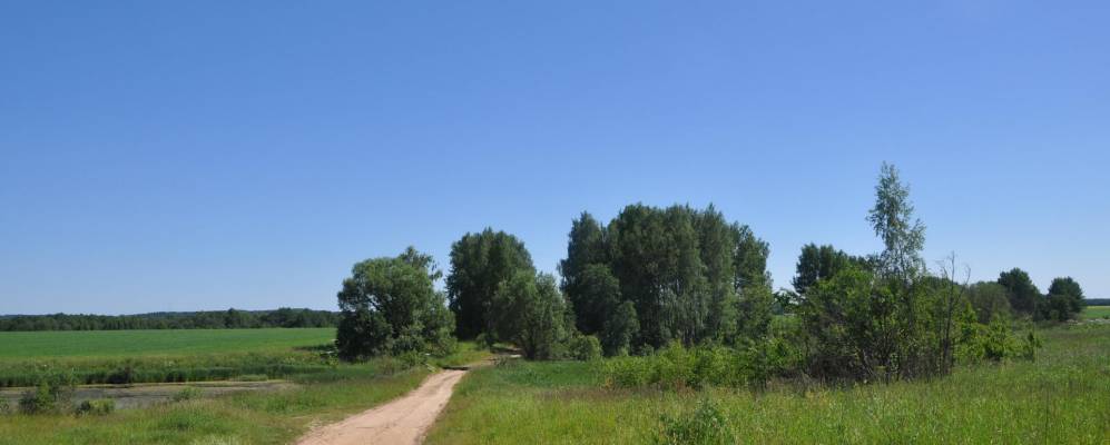 
            Фотография Давыдово