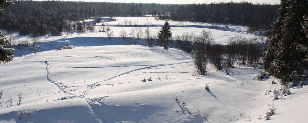 
            Фотография Низкой Гривы