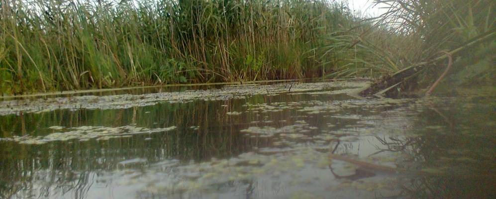 Фотография деревни Кули