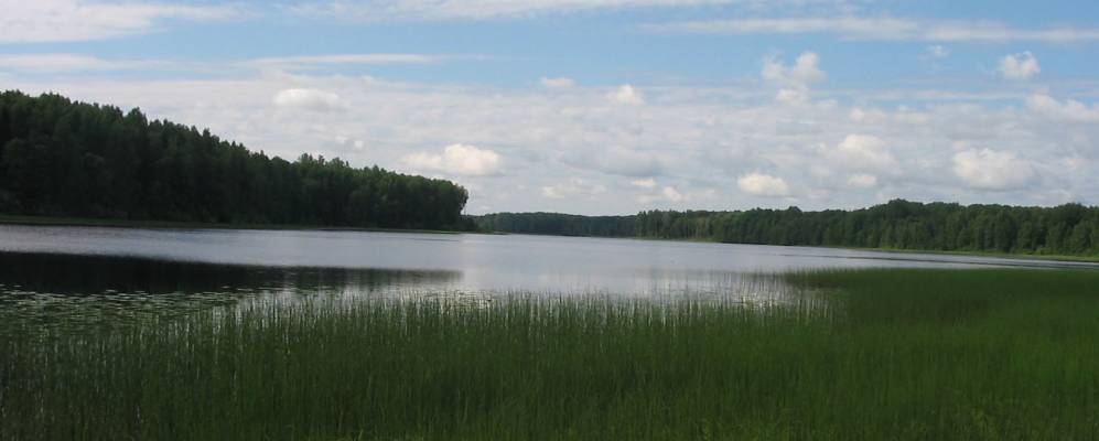 
            Фотография Клюшниково