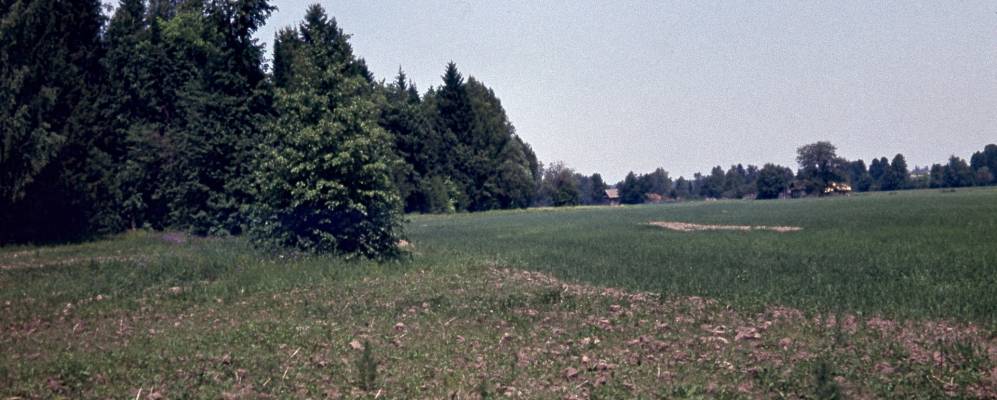 Фотография Болгар