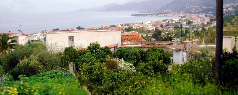 
            Фотография Акраты