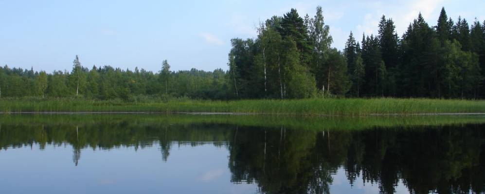 
            Фотография деревни Дорищи