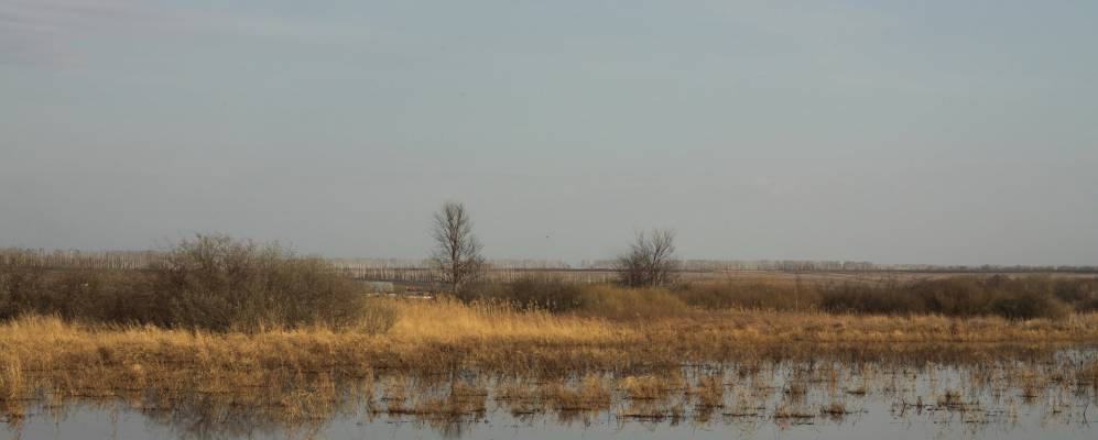 
            Фотография Александровки