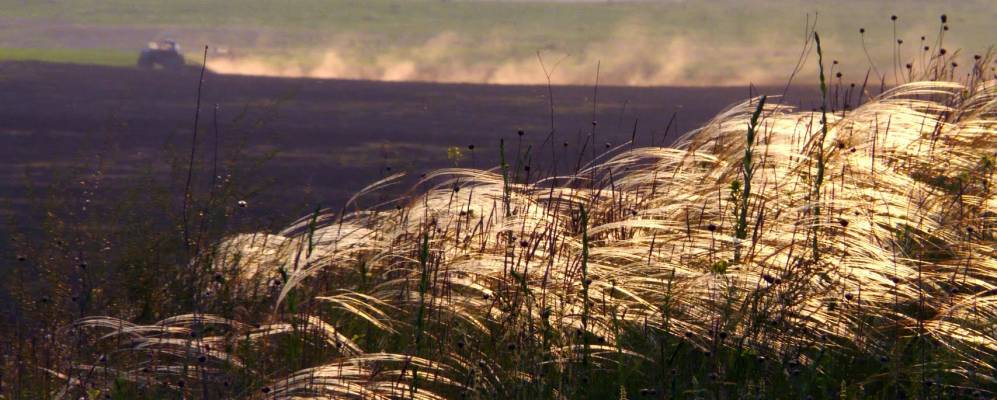 
            Фотография Яснодольска