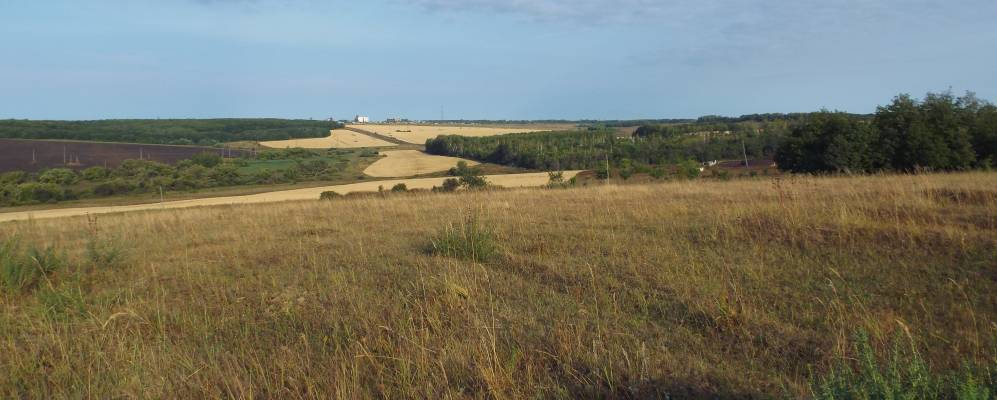 
            Фотография Орловки