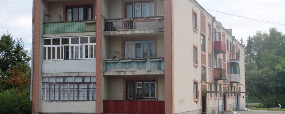 
            Фотография Лесоводы