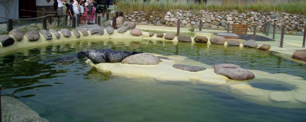 
            Фотография Фридрихскога