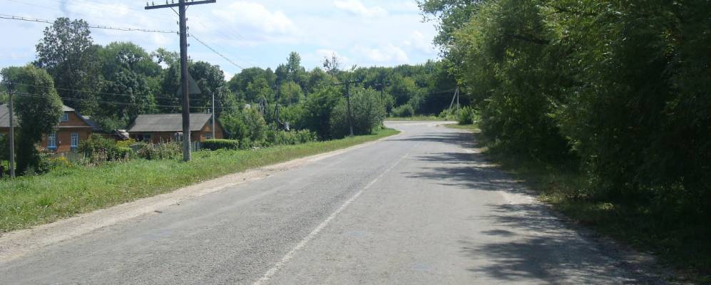 
            Фотография Видошни