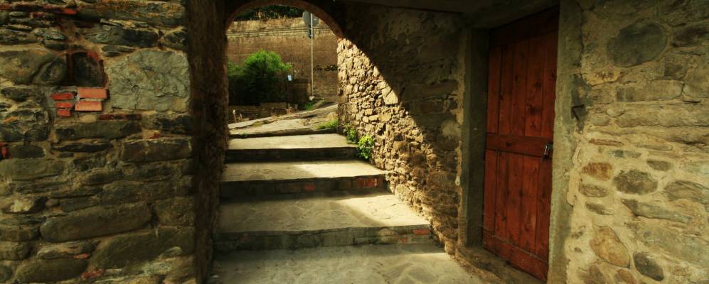 
            Фотография Каполоны