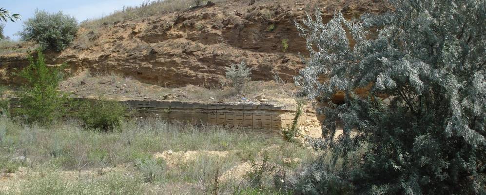 
            Фотография Берегового