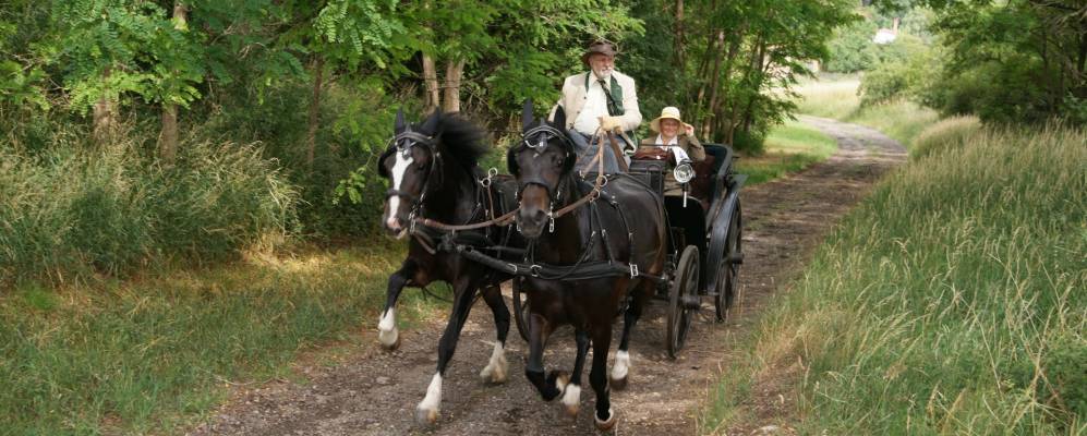 
            Фотография Гройссена