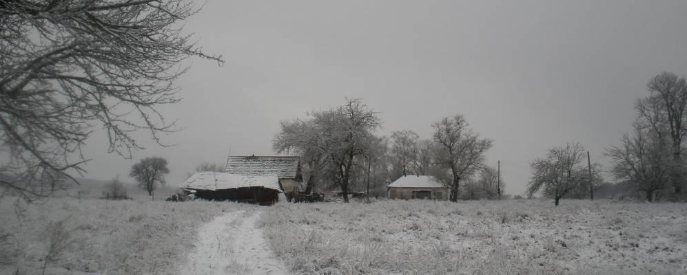 
            Фотография Сядрино