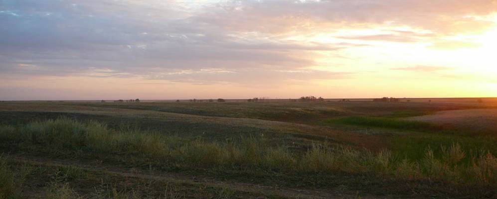 Село дмитриевка новоузенский район саратовская область. Киевка Новоузенский район. Село Киевка Саратовская область. Село Куриловка Новоузенского района Саратовской области. Дмитриевка Саратовская область Новоузенский район.