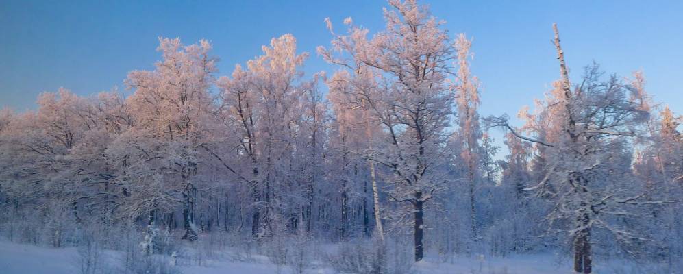 
            Фотография Новой Яндобы