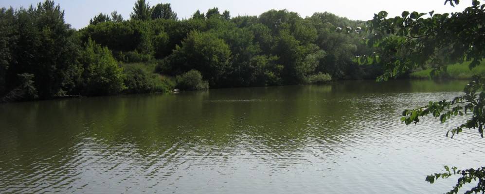 
            Фотография Рассыпного