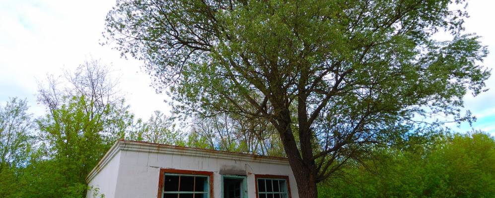 
            Фотография Фотовижа