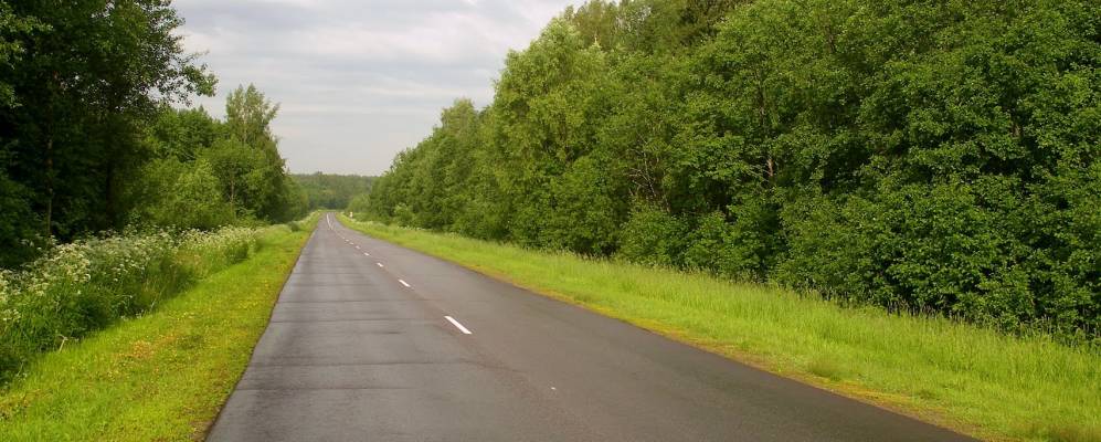 
            Фотография Руболдино