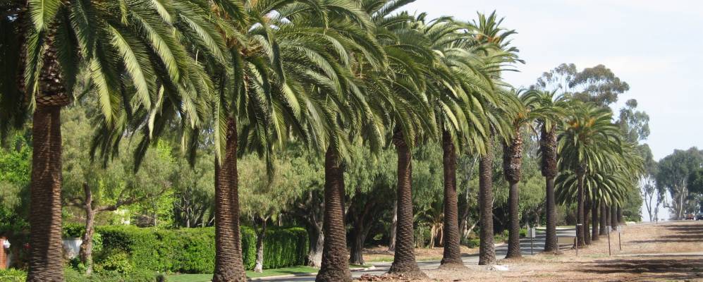 
            Фотография Роллинг Хиллс Истейта