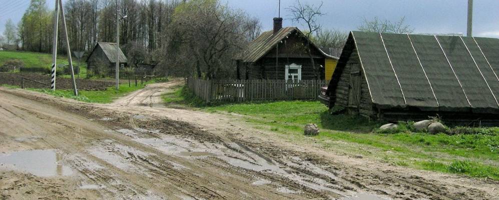 
            Фотография Заямочного