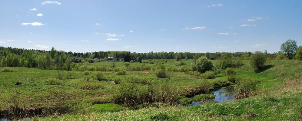 
            Фотография Васильевского