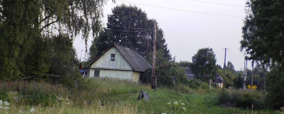 
            Фотография Овсища