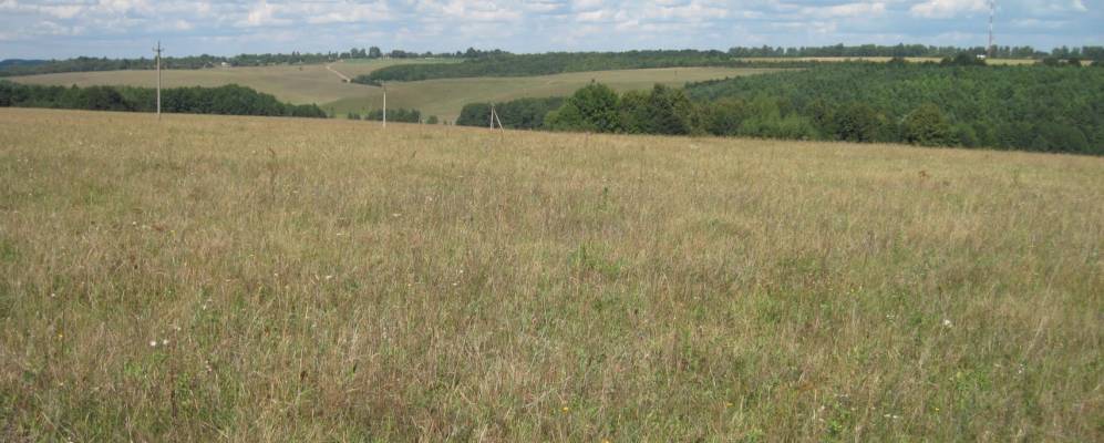 
            Фотография Садового