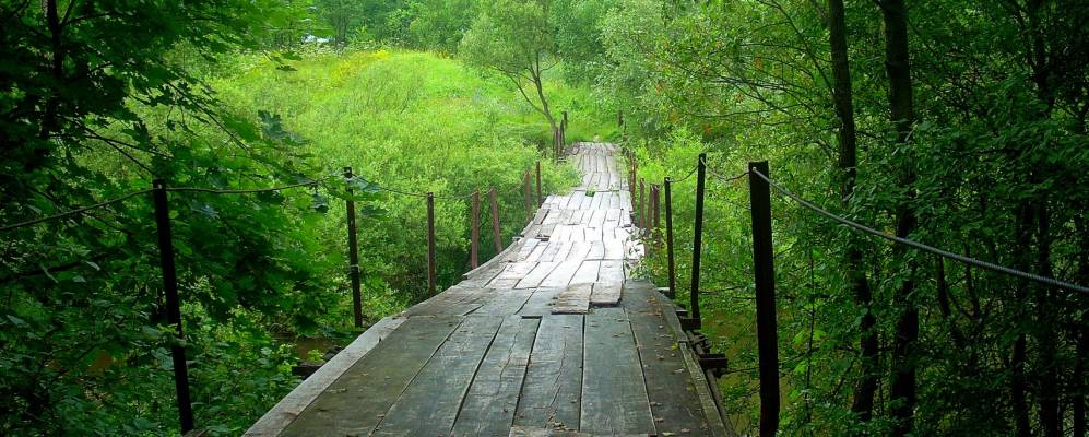 
            Фотография Выробы