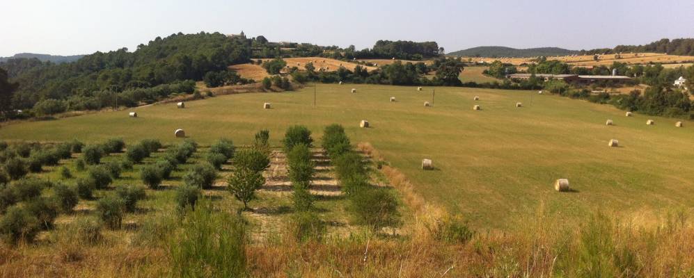 
            Фотография Báscara