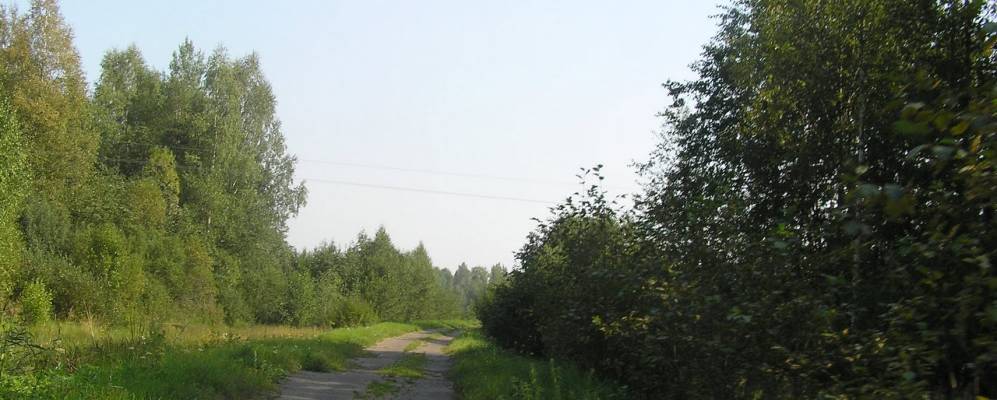 
            Фотография Курганово