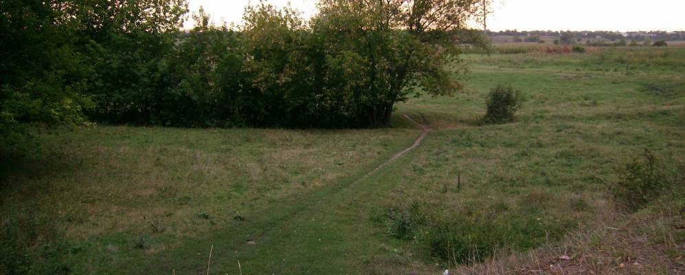 
            Фотография Максимовщины