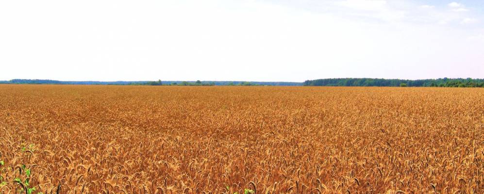 
            Фотография Ричи